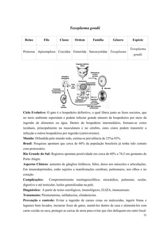 31
Toxoplasma gondii
Ciclo Evolutivo: O gato é o hospedeiro definitivo, o qual libera junto as fezes oocistos, que
no meio ambiente esporulam e podem infectar grande número de hospedeiros por meio da
ingestão de alimentos ou água. Dentro do hospedeiro intermediário, formam-se cistos
teciduais, principalmente na musculatura e no cérebro, estes cistos podem transmitir a
infecção a outros hospedeiros por ingestão (carnivorismo).
Mundo: Difundida pelo mundo todo, estima-se prevalência de 23%a 83%.
Brasil: Pesquisas apontam que cerca de 60% da população brasileira já tenha tido contato
com protozoário.
Rio Grande do Sul: Registros apontam positividade em cerca de 60% a 74,5 em gestantes de
Porto Alegre.
Aspectos Clínicos: aumento de gânglios linfáticos, febre, dores nos músculos e articulações.
Em imunodeprimidos, estão sujeitos a manifestações cerebrais, pulmonares, nos olhos e no
coração.
Complicações: Comprometimento meningeocefálico, miocárdico, pulmonar, ocular,
digestivo e até testicular, lesões generalizadas na pele.
Diagnóstico: A partir de testes sorológicos, imunológicos, ELIZA, imunoensaio.
Tratamento: Piremetamina, sulfadiazina, clindamicina.
Prevenção e controle: Evitar a ingestão de carnes cruas ou malcozidas, ingerir frutas e
legumes bem lavados, incinerar fezes de gatos, mantê-los dentro de casa e alimentá-los com
carne cozida ou seca, proteger as caixas de areia para evitar que eles defequem em outro local.
Reino Filo Classe Ordem Família Gênero Espécie
Protozoa Apicomplexa Coccidea Eimeriida Sarcocystidae Toxoplasma
Toxoplasma
gondii
 