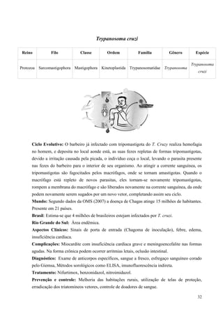 32
Trypanosoma cruzi
Ciclo Evolutivo: O barbeiro já infectado com tripomastigota do T. Cruzy realiza hemofagia
no homem, e deposita no local aonde está, as suas fezes repletas de formas tripomastigotas,
devido a irritação causada pela picada, o indivíduo coça o local, levando o parasita presente
nas fezes do barbeiro para o interior de seu organismo. Ao atingir a corrente sanguínea, os
tripomastigotas são fagocitados pelos macrófagos, onde se tornam amastigotas. Quando o
macrófago está repleto de novos parasitas, eles tornam-se novamente tripomastigotas,
rompem a membrana do macrófago e são liberados novamente na corrente sanguínea, da onde
podem novamente serem sugados por um novo vetor, completando assim seu ciclo.
Mundo: Segundo dados da OMS (2007) a doença de Chagas atinge 15 milhões de habitantes.
Presente em 21 países.
Brasil: Estima-se que 4 milhões de brasileiros estejam infectados por T. cruzi.
Rio Grande do Sul: Área endêmica.
Aspectos Clínicos: Sinais de porta de entrada (Chagoma de inoculação), febre, edema,
insuficiência cardíaca.
Complicações: Miocardite com insuficiência cardíaca grave e meningoencefalite nas formas
agudas. Na forma crônica podem ocorrer arritmias letais, oclusão intestinal.
Diagnóstico: Exame de anticorpos específicos, sangue a fresco, esfregaço sanguíneo corado
pelo Giemsa, Métodos sorológicos como ELISA, imunofluorescência indireta.
Tratamento: Nifurtimox, benzonidazol, nitroimidazol.
Prevenção e controle: Melhoria das habitações rurais, utilização de telas de proteção,
erradicação dos triatomíneos vetores, controle de doadores de sangue.
Reino Filo Classe Ordem Família Gênero Espécie
Protozoa Sarcomastigophora Mastigophora Kinetoplastida Trypanosomatidae Trypanosoma
Trypanosoma
cruzi
 