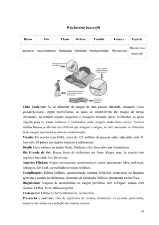 34
Wuchereria bancrofti
Ciclo Evolutivo: Ao se alimentar de sangue de uma pessoa infectada, mosquito Culex
quinquefasciatus ingere microfilárias, as quais se desenvolvem até estágio de larvas
infectantes, ao realizar repasto sanguíneo o mosquito deposita larvas infectantes, as quais
migram para os vasos linfáticos e linfonodos, onde atingem maturidade sexual. Vermes
adultos fêmeas produzem microfilárias que atingem o sangue, se outro mosquito se alimentar
deste sangue continuará o ciclo de contaminação.
Mundo: De acordo com OMS, cerca de 112 milhões de pessoas estão infectadas pela W.
bancrofti, 83 países das regiões tropicais e subtropicais.
Brasil: Focos extintos na região Norte, Nordeste e Sul, foco ativo em Pernambuco.
Rio Grande do Sul: Houve focos de elefantíase em Porto Alegre, mas, de acordo com
inquérito nacional, foco foi extinto.
Aspectos Clínicos: Alguns permanecem assintomáticos, outros apresentam febre, mal-estar,
linfangite, dor local, vermelhidão no trajeto linfático.
Complicações: Edema linfático, queratinização cutânea, infecções bacterianas ou fúngicas
agravam o quadro de elefantíase, obstrução da circulação linfática, pneumonia eosinofílica.
Diagnóstico: Pesquisa de microfilárias no sangue periférico com esfregaço corado com
Giemsa, ELISA, PCR, ultrassonografia.
Tratamento: Citrato de dietilcarbamazina, ivermectina.
Prevenção e controle: Uso de repelentes de insetos, tratamento de pessoas parasitadas,
saneamento básico para redução dos insetos vetores.
Reino Filo Classe Ordem Família Gênero Espécie
Animalia Aschelminthes Nematoda Spirurida Onchocercidae Wuchereria
Wuchereria
bancrofti
 