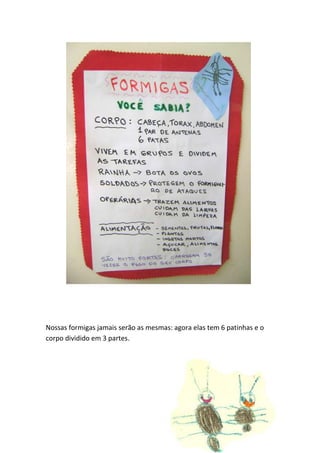 Nossas formigas jamais serão as mesmas: agora elas tem 6 patinhas e o
corpo dividido em 3 partes.
 