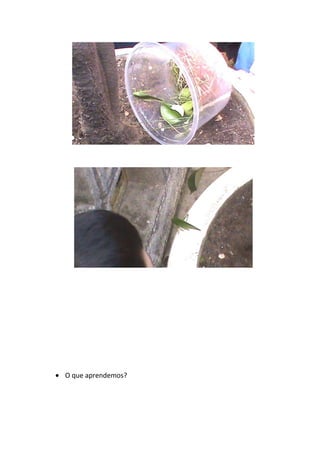 O que aprendemos?
 