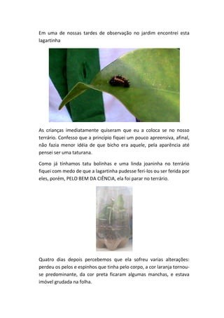 Em uma de nossas tardes de observação no jardim encontrei esta
lagartinha




As crianças imediatamente quiseram que eu a coloca se no nosso
terrário. Confesso que a princípio fiquei um pouco apreensiva, afinal,
não fazia menor idéia de que bicho era aquele, pela aparência até
pensei ser uma taturana.

Como já tínhamos tatu bolinhas e uma linda joaninha no terrário
fiquei com medo de que a lagartinha pudesse feri-los ou ser ferida por
eles, porém, PELO BEM DA CIÊNCIA, ela foi parar no terrário.




Quatro dias depois percebemos que ela sofreu varias alterações:
perdeu os pelos e espinhos que tinha pelo corpo, a cor laranja tornou-
se predominante, da cor preta ficaram algumas manchas, e estava
imóvel grudada na folha.
 