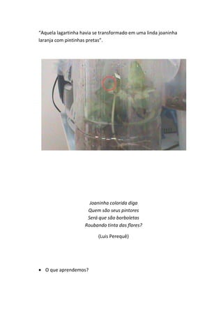 “Aquela lagartinha havia se transformado em uma linda joaninha
laranja com pintinhas pretas”.




                      Joaninha colorida diga
                     Quem são seus pintores
                     Será que são borboletas
                    Roubando tinta das flores?

                          (Luis Perequê)




   O que aprendemos?
 