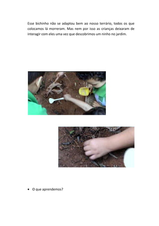Esse bichinho não se adaptou bem ao nosso terrário, todos os que
colocamos lá morreram. Mas nem por isso as crianças deixaram de
interagir com eles uma vez que descobrimos um ninho no jardim.




  O que aprendemos?
 