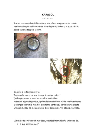 CARACOL
                             ccccccc
Por ser um animal de hábitos noturnos, não conseguimos encontrar
nenhum vivo para observarmos mais de perto, todavia, as suas cascas
estão espalhadas pelo jardim.




Durante a roda de conversa:
Quem acha que o caracol tem pé levanta a mão.
(todos permaneceram com as mãos abaixadas).
Passados alguns segundos, apenas levantei minha mão e imediatamente
2 crianças fizeram o mesmo, o restante continuou como estava exceto
um que chegou no meu ouvido e disse baixinho: Prô, abaixa essa mão.




Curiosidade: Para quem não sabe, o caracol tem pé sim, um único pé.
      O que aprendemos?
 