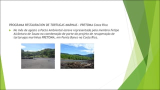 PROGRAMA RESTAURACION DE TORTUGAS MARINAS - PRETOMA Costa Rica
 No mês de agosto a Pacto Ambiental esteve representada pelo membro Felipe
Alcântara de Souza na coordenação de parte do projeto de recuperação de
tartarugas marinhas PRETOMA, em Punta Banco na Costa Rica.
 