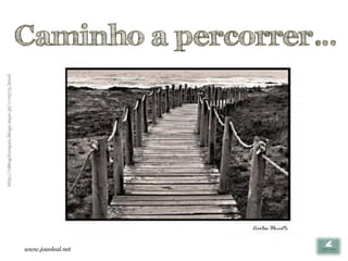 http://oblogdorapaz.blogs.sapo.pt/172973.html




www.joaoleal.net
                                                                   Caminho a percorrer…
 