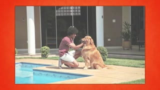 Portfólio sinestezia