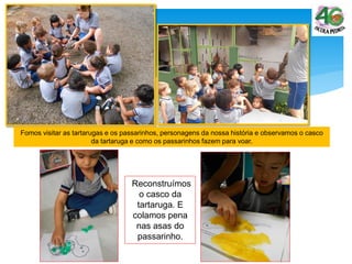 Fomos visitar as tartarugas e os passarinhos, personagens da nossa história e observamos o casco
da tartaruga e como os passarinhos fazem para voar.
Reconstruímos
o casco da
tartaruga. E
colamos pena
nas asas do
passarinho.
 