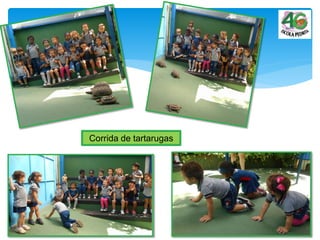 Corrida de tartarugas
 