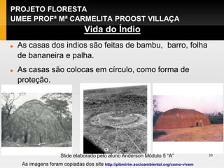 PROJETO FLORESTA
UMEE PROFª Mª CARMELITA PROOST VILLAÇA
                                  Vida do Índio
   As casas dos indios são feitas de bambu, barro, folha
    de bananeira e palha.
   As casas são colocas em círculo, como forma de
    proteção.




                      Slide elaborado pelo aluno Anderson Módulo 5 “A”                  39

     As imagens foram copiadas dos site http://pibmirim.socioambiental.org/como-vivem
 