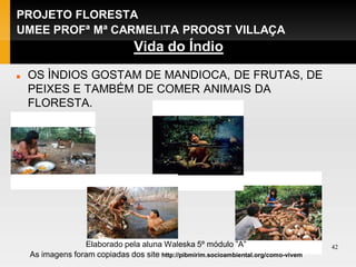 PROJETO FLORESTA
UMEE PROFª Mª CARMELITA PROOST VILLAÇA
                                  Vida do Índio
ALIMENTAÇÃO:
   OS ÌNDIOS GOSTAM DE MANDIOCA, DE FRUTAS, DE
    PEIXES E TAMBÉM DE COMER ANIMAIS DA
    FLORESTA.




                  Elaborado pela aluna Waleska 5º módulo ”A”                           42
    As imagens foram copiadas dos site http://pibmirim.socioambiental.org/como-vivem
 