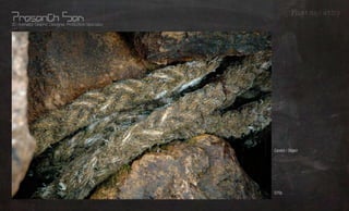 Photography
3D Animator, Graphic Designer, Production Specialist




                                                       Candid / ObjectWhat?
                                                       -
                                                                      Whom?
                                                       -
                                                                     Where?
                                                       D70s
                                                                     Using?
 