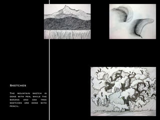 Sketches The mountain sketch is done with pen, while the banana and oak tree sketches are done with pencil.