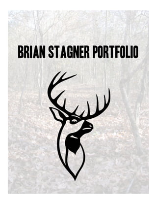 Brian Stagner Portfolio
 