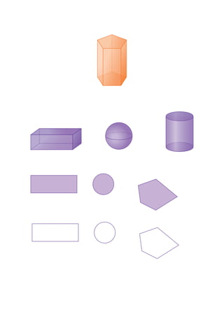 Portfolio Illustrator