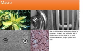 Macro 
Macro photography is close up photos of 
things e.g. flowers and padlocks. Macro 
photography is also close up of small 
animals like wasps, frogs, spiders and 
ants. 
