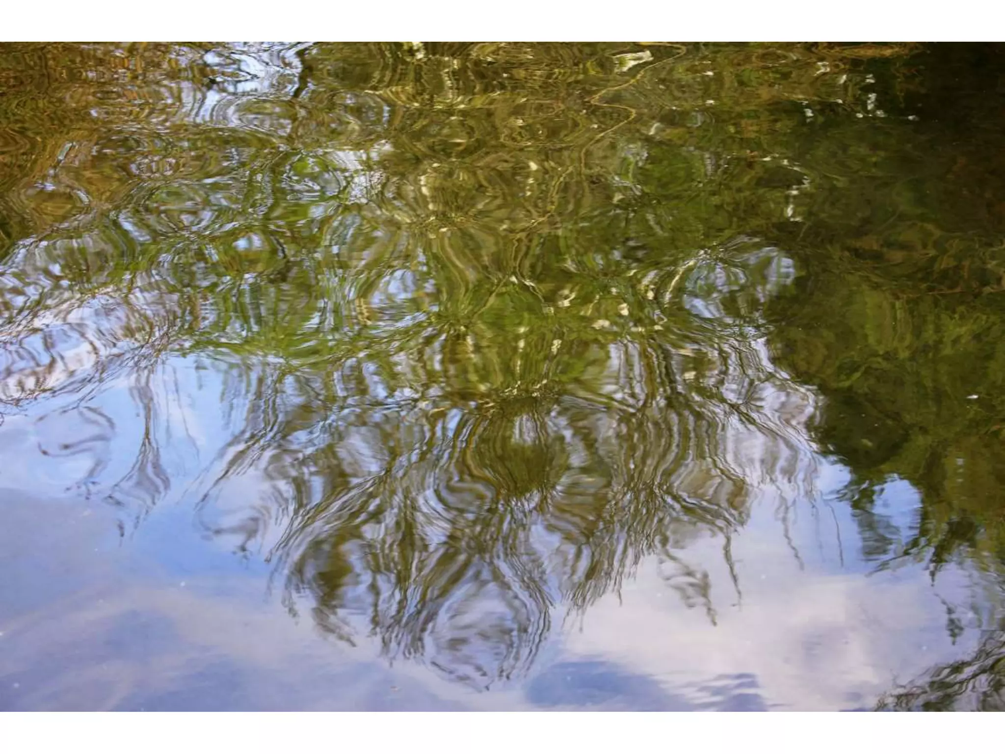 Electronic Portfolio 