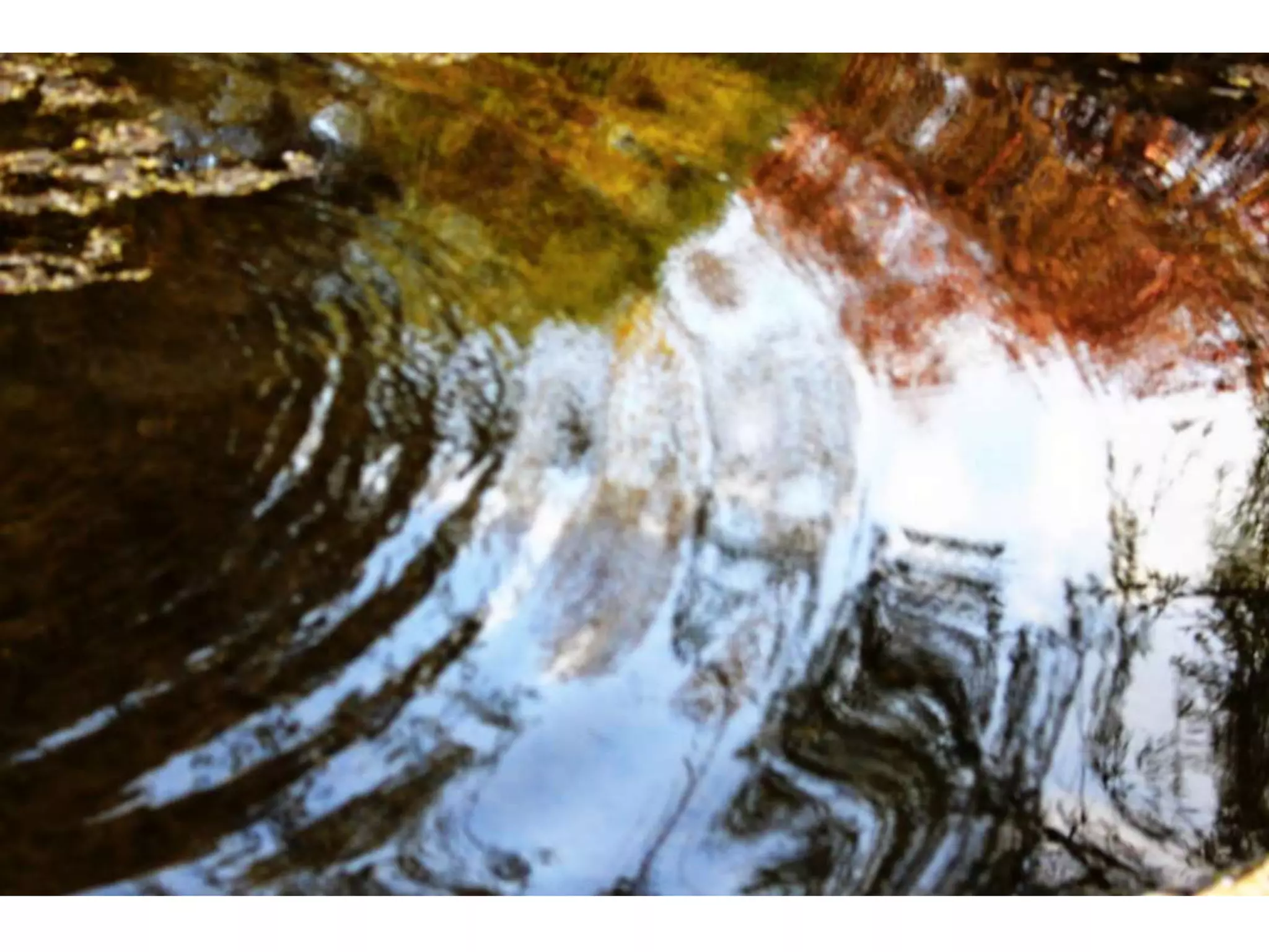 Electronic Portfolio 