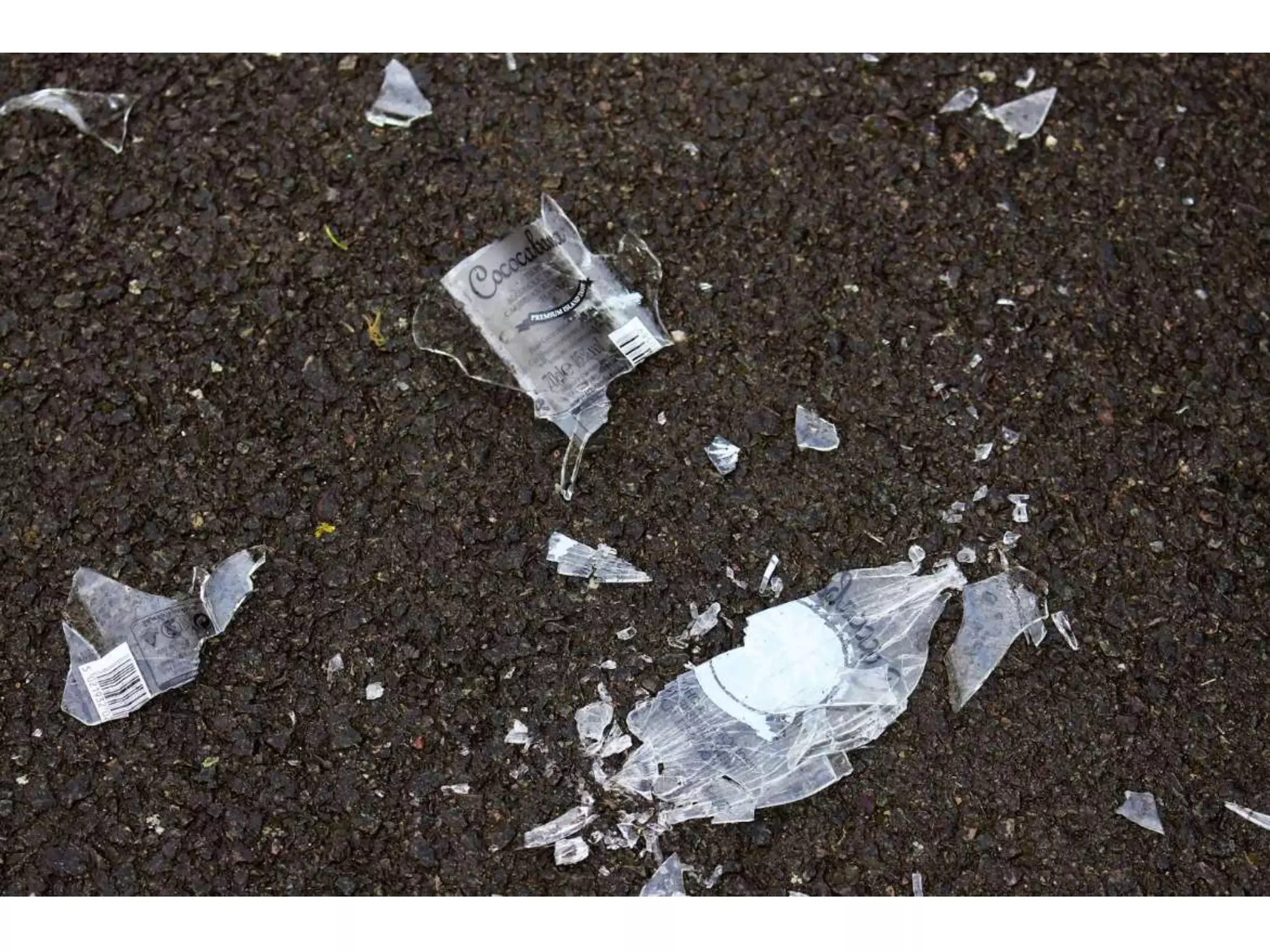 Electronic Portfolio 