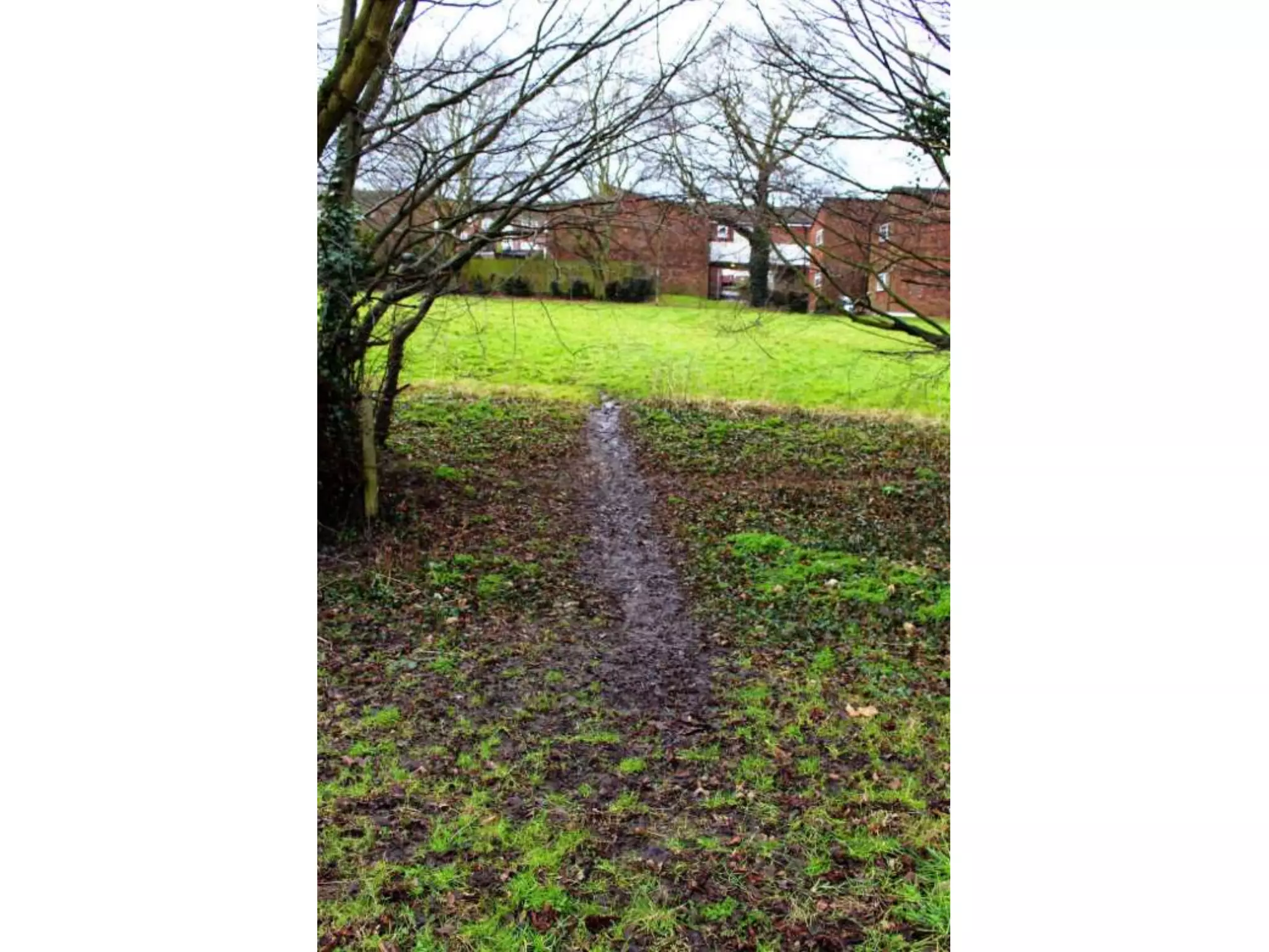 Electronic Portfolio 