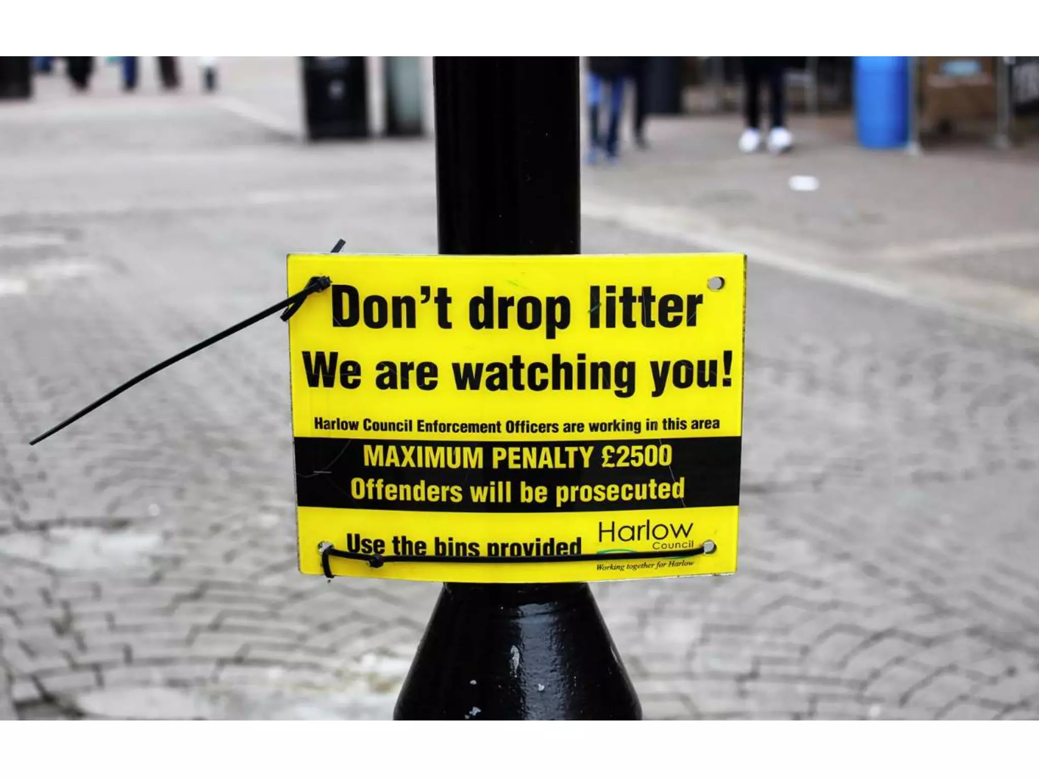 Electronic Portfolio 