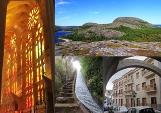 Портфолио и Резюме
 