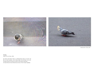 The Ring
Video, DV, 2 min. 03 sec., 2009
Das Video zeigt Parisier Tauben, die Weissbrotringe fressen. Sie picken das
Brot mit ihren Schnäbeln und die Ringe hüpfen auf dem Beton auf und ab.
Ziel dieser Arbeit ist es, dass sich ein Ring um den Hals einer Taube legt.
Die Taube erhält somit einen Reservering und kann mit ihrem Fressen wegfliegen.
Videoausschnitte „The Ring“ 2009
 