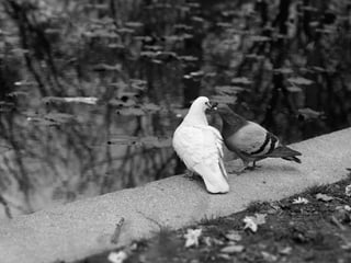 Photography collection!