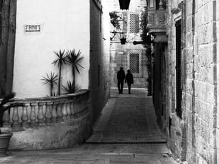 Photography collection!