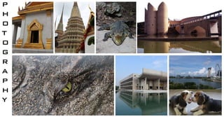 P
H
O
T
O
G
RR
A
P
H
Y
 