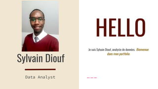 Sylvain Diouf
Data Analyst
Je suis Sylvain Diouf, analyste de données. Bienvenue
dans mon portfolio.
HELLO
 