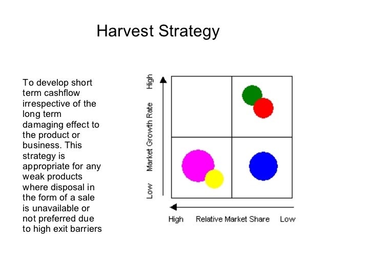 portfolio analysis barca fontanacountryinn com business portfolio analysis