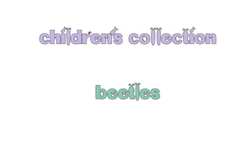 children's collection
beetles
 