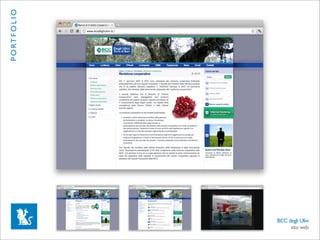P O RT F O L I O




                   BCC degli Ulivi
                        sito web
 