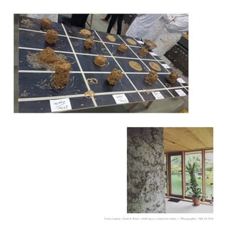 Cours à option « Earth & Wood : a field trip to a carbon free future » / Photographies / MA SA 2018
 