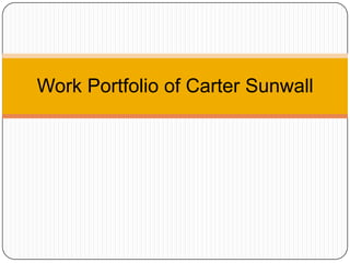 Work Portfolio of Carter Sunwall 