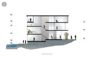 longitudinal section
 