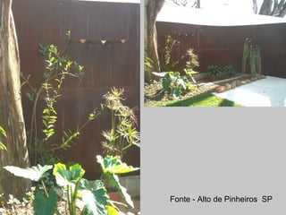 Fonte - Alto de Pinheiros SP
 
