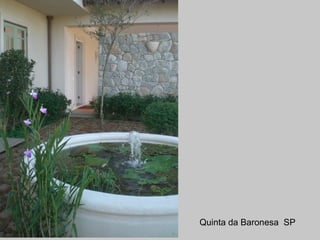 Quinta da Baronesa SP
 