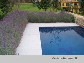 Quinta da Baronesa SP
 