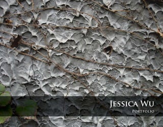 Jessica Wu
     Portfolio
 