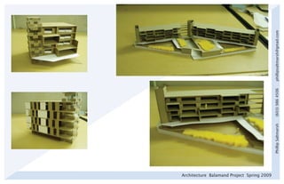 Architecture Balamand Project Spring 2009




                                            Phillip Saltmarsh   (603) 986 4506   phillipsaltmarsh@gmail.com
 