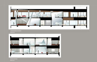 LONGITUDINAL SECTION
SCALE: N/A




CROSS SECTION
SCALE: N/A
 