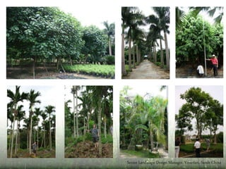 O C E A N P A R K , H O N G K O N G
S H A R K M Y S T I Q U E !
 