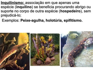 IInnqquuiilliinniissmmoo:: aassssoocciiaaççããoo eemm qquuee aappeennaass uummaa 
eessppéécciiee ((iinnqquuiilliinnoo)) ssee bbeenneeffiicciiaa pprrooccuurraannddoo aabbrriiggoo oouu 
ssuuppoorrttee nnoo ccoorrppoo ddee oouuttrraa eessppéécciiee ((hhoossppeeddeeiirroo)),, sseemm 
pprreejjuuddiiccáá--lloo;; 
EExxeemmppllooss:: PPeeiixxee--aagguullhhaa,, hhoolloottúúrriiaa,, eeppiiffiittiissmmoo.. 
 