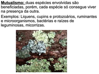 MMuuttuuaalliissmmoo:: dduuaass eessppéécciieess eennvvoollvviiddaass ssããoo 
bbeenneeffiicciiaaddaass,, ppoorréémm,, ccaaddaa eessppéécciiee ssóó ccoonnsseegguuee vviivveerr 
nnaa pprreesseennççaa ddaa oouuttrraa.. 
EExxeemmppllooss:: LLiiqquueennss,, ccuuppiinnss ee pprroottoozzooáárriiooss,, rruummiinnaanntteess 
ee mmiiccrroooorrggaanniissmmooss,, bbaaccttéérriiaass ee rraaíízzeess ddee 
lleegguummiinnoossaass,, mmiiccoorrrriizzaass.. 
 