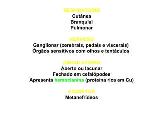 RESPIRATÓRIO 
Cutânea 
Branquial 
Pulmonar 
NERVOSO 
Ganglionar (cerebrais, pedais e viscerais) 
Órgãos sensitivos com olhos e tentáculos 
CIRCULATÓRIO 
Aberto ou lacunar 
Fechado em cefalópodes 
Apresenta hemocianina (proteína rica em Cu) 
EXCRETOR 
Metanefrídeos 
 