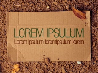 Comboio Apresentações l Bio