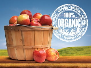 Comboio Apresentações l Bio